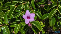 Antsiranana 23.11.23 Katamarane und Traumstrände auf Mauritius Seychellen Madagaskar AIDAblu 033