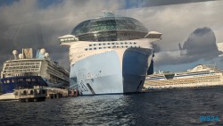 Icon of the Seas Basseterre 24.02.27 Traumhafte Strände und Wale in Mittelamerika und Karibik AIDAluna 018