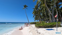 Isla Saona La Romana 24.02.24 Traumhafte Strände und Wale in Mittelamerika und Karibik AIDAluna 042