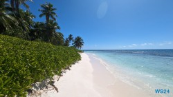 Isla Saona La Romana 24.02.24 Traumhafte Strände und Wale in Mittelamerika und Karibik AIDAluna 047