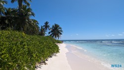 Isla Saona La Romana 24.02.24 Traumhafte Strände und Wale in Mittelamerika und Karibik AIDAluna 048