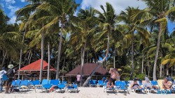 Isla Saona La Romana 24.02.24 Traumhafte Strände und Wale in Mittelamerika und Karibik AIDAluna 065