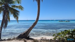 Isla Saona La Romana 24.02.24 Traumhafte Strände und Wale in Mittelamerika und Karibik AIDAluna 071