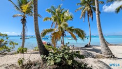 Isla Saona La Romana 24.02.24 Traumhafte Strände und Wale in Mittelamerika und Karibik AIDAluna 072