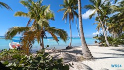 Isla Saona La Romana 24.02.24 Traumhafte Strände und Wale in Mittelamerika und Karibik AIDAluna 073