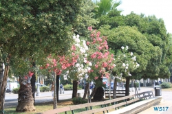 Salerno 17.07.13 - Italien, Spanien und tolle Mittelmeerinseln AIDAstella