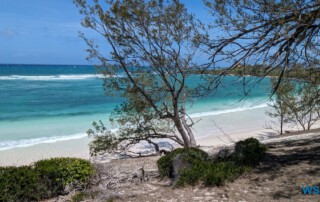 Les Trois Baies Antsiranana 23.11.23 Katamarane und Traumstrände auf Mauritius Seychellen Madagaskar AIDAblu 035