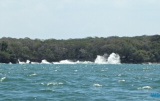 Baru Island Cartagena 24.02.22 Traumhafte Strände und Wale in Mittelamerika und Karibik AIDAluna 018