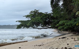 Cahuita Nationalpark Puerto Limón 24.02.20 Traumhafte Strände und Wale in Mittelamerika und Karibik AIDAluna 028